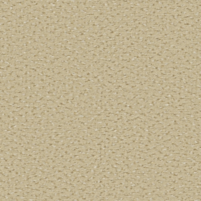 Alexis - 8K84